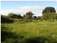 97 Irby Boulevard, Sisters Beach TAS 7321
