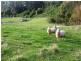 24 Federal Street, Burnie TAS 7320