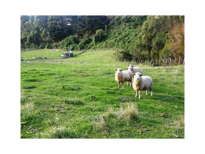 24 Federal Street, Burnie TAS 7320