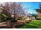 155 West Pine Road, Penguin TAS 7316