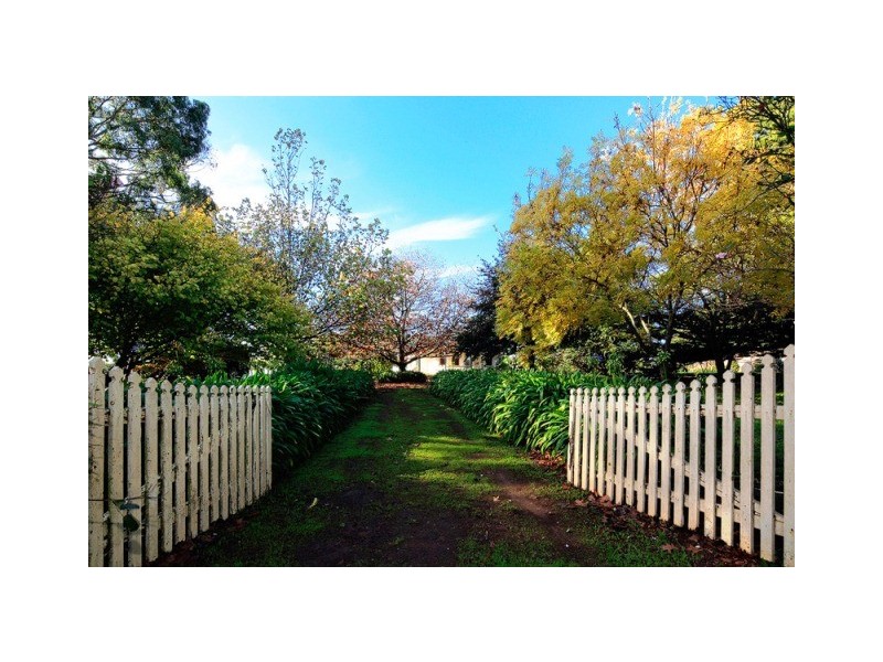 155 West Pine Road, Penguin TAS 7316