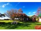 155 West Pine Road, Penguin TAS 7316