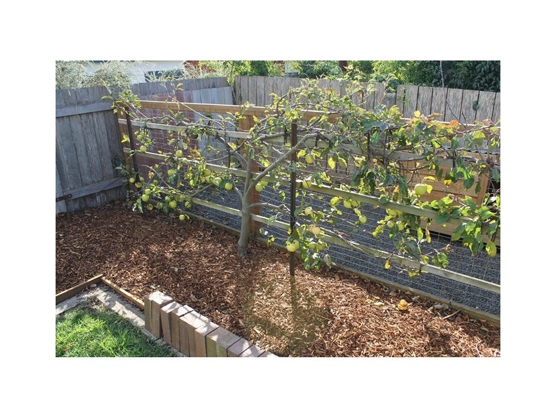 23 Lyons Street, Somerset TAS 7322