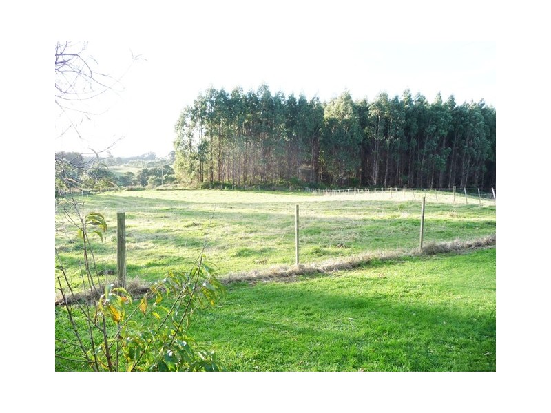 1015 Preolenna Road, Moorleah TAS 7325