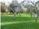 1015 Preolenna Road, Moorleah TAS 7325