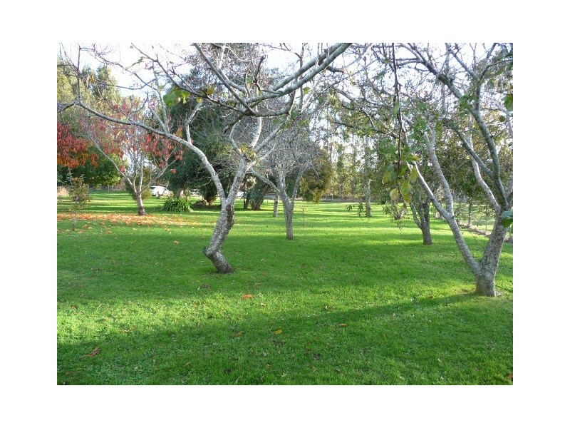 1015 Preolenna Road, Moorleah TAS 7325
