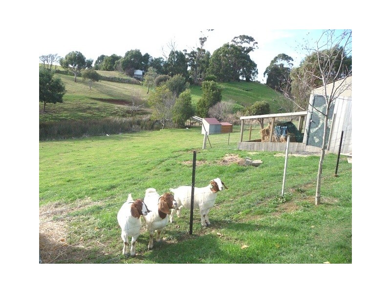 74 Deviation Road, Penguin TAS 7316