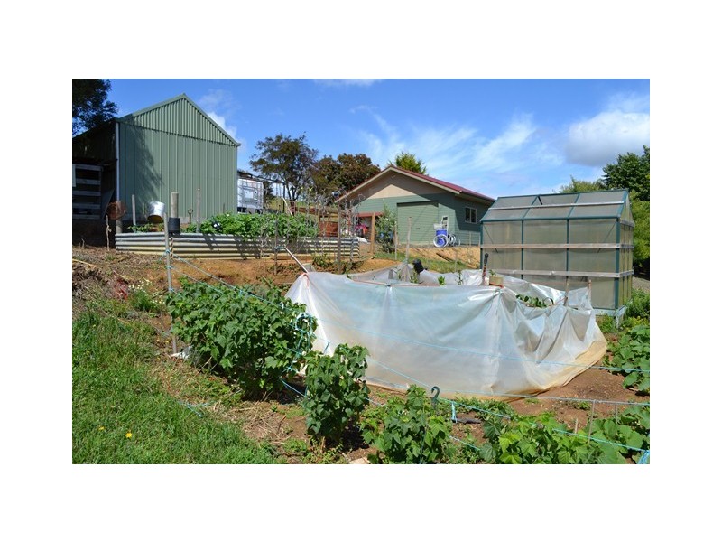 74 Deviation Road, Penguin TAS 7316