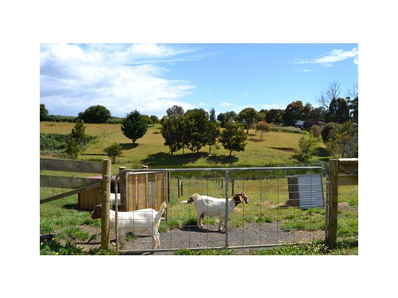 74 Deviation Road, Penguin TAS 7316