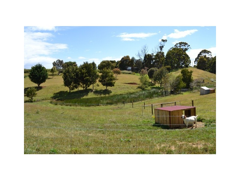 74 Deviation Road, Penguin TAS 7316