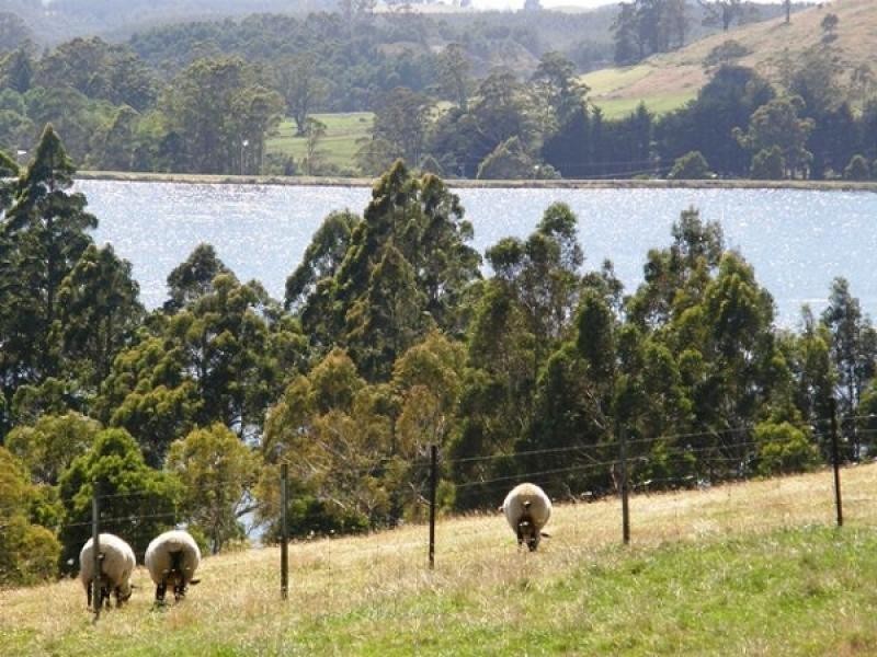 1171 Ridgley Highway, Ridgley TAS 7321