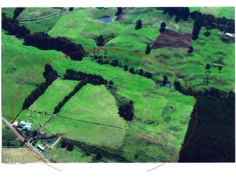 113 Loonah Road, Natone TAS 7321