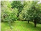 870 Murchison Highway, Elliott TAS 7325