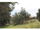 27 Quinn Street, Penguin TAS 7316