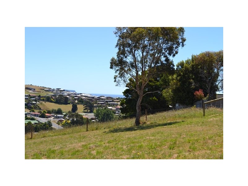 68 Jorgensen Street, Montello TAS 7320