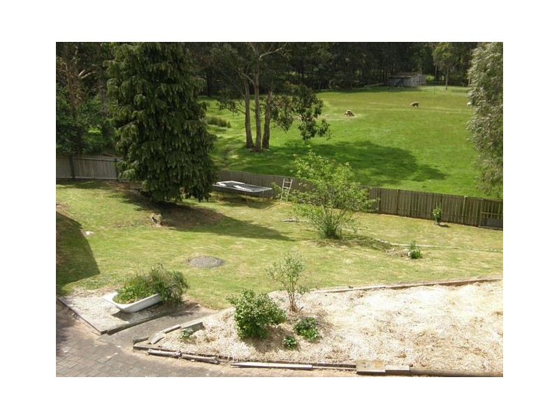 109 Inglis Street, Wynyard TAS 7325