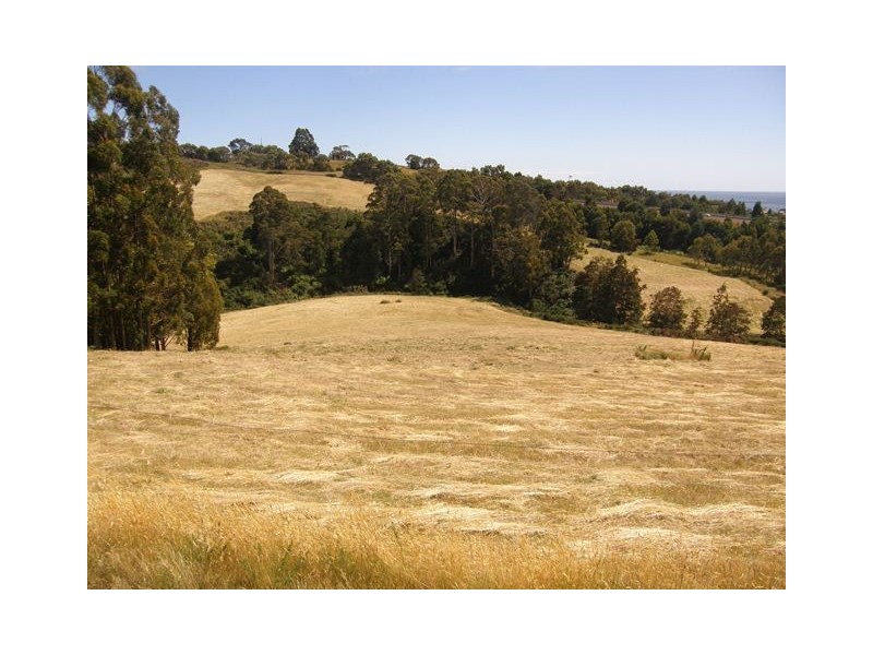 22 Lester Road, Penguin TAS 7316