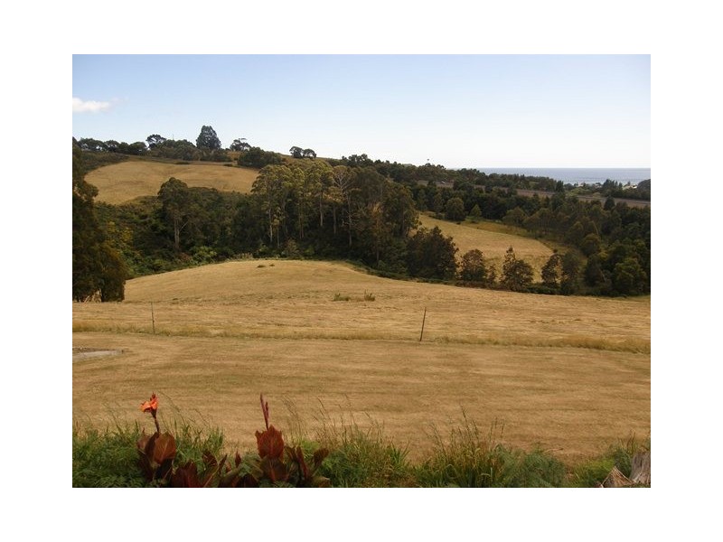 22 Lester Road, Penguin TAS 7316