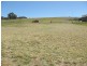 11 Lorrie Place, Burnie TAS 7320