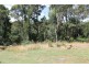 16 Henry Street, Somerset TAS 7322