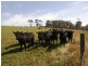 110 McKays Road, Somerset TAS 7322
