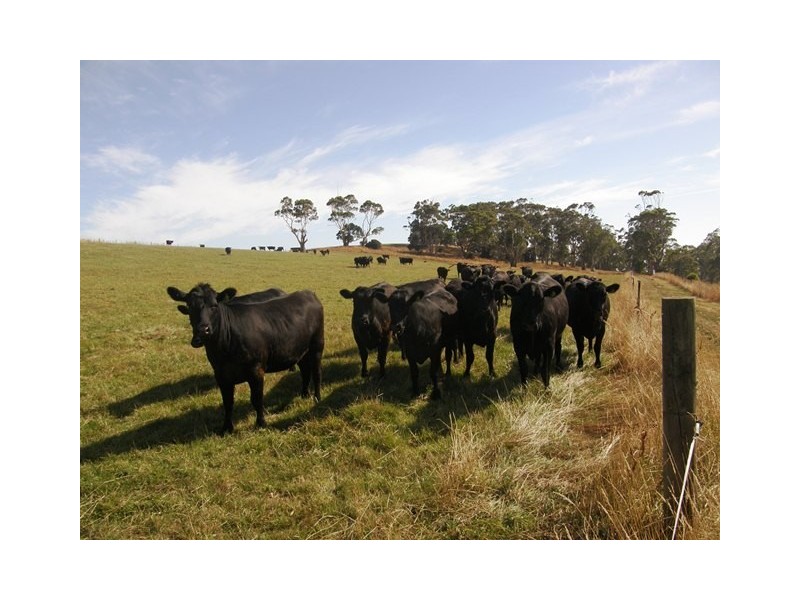 110 McKays Road, Somerset TAS 7322