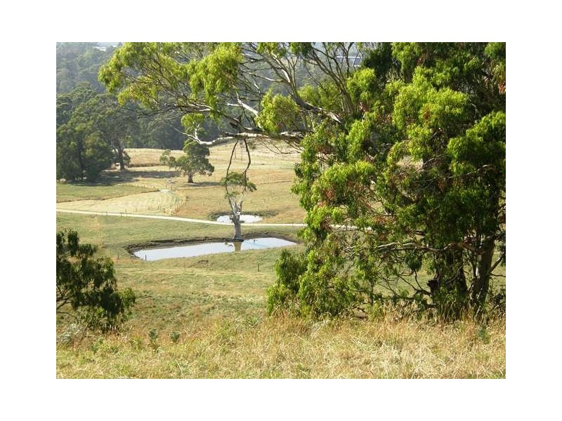 110 McKays Road, Somerset TAS 7322