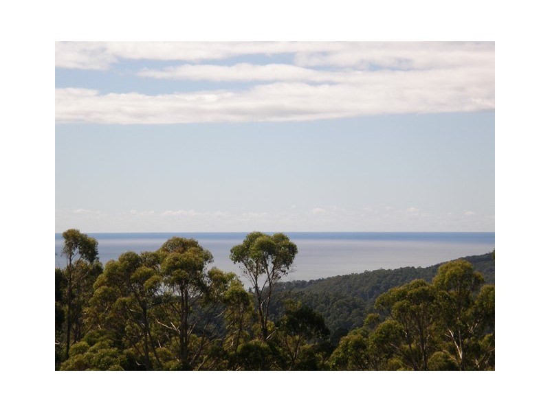 42 Ellis Road, Burnie TAS 7320