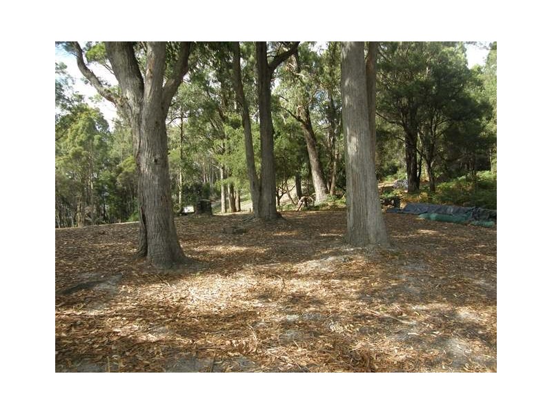 42 Ellis Road, Burnie TAS 7320