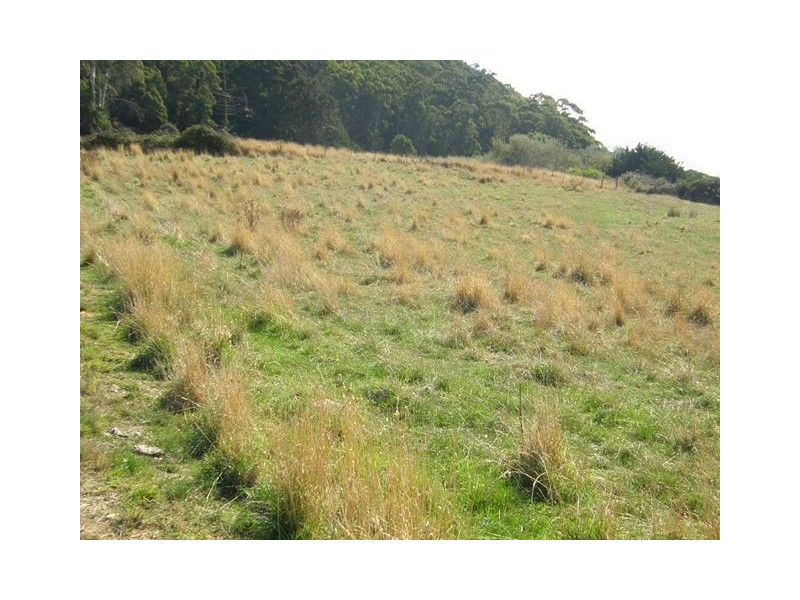 15411 Bass Highway, Somerset TAS 7322