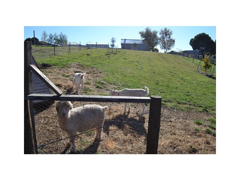 5 Corbetts Road, Riana TAS 7316