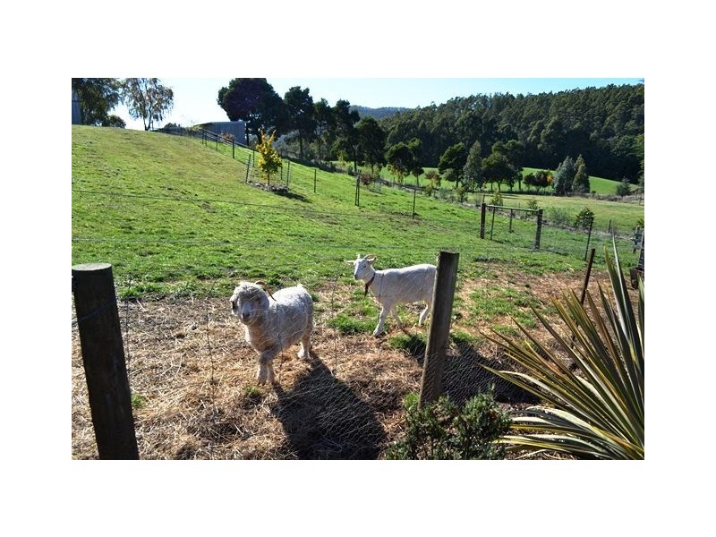 5 Corbetts Road, Riana TAS 7316