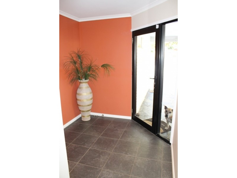 11 Evelyn Street, Penguin TAS 7316