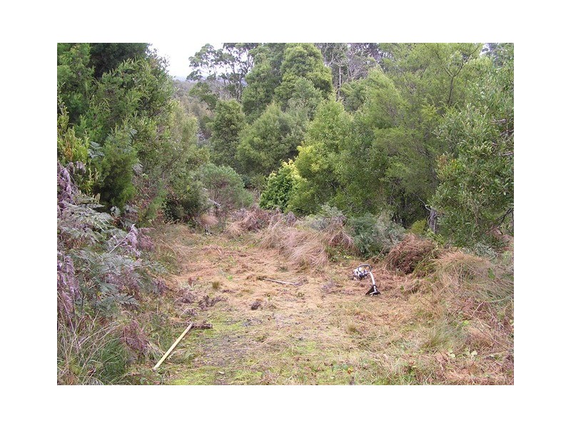 Lot 1 Takone Road, Takone TAS 7325