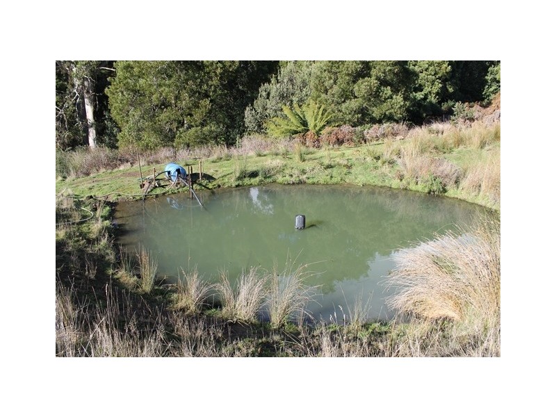 501 Calder Road, Calder TAS 7325