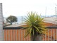39 Paraka Street, Burnie TAS 7320