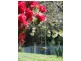199 Fists Lane, Boat Harbour TAS 7321