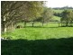 698 Ridgley Highway, Ridgley TAS 7321