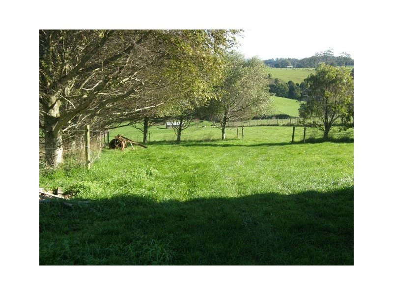 698 Ridgley Highway, Ridgley TAS 7321