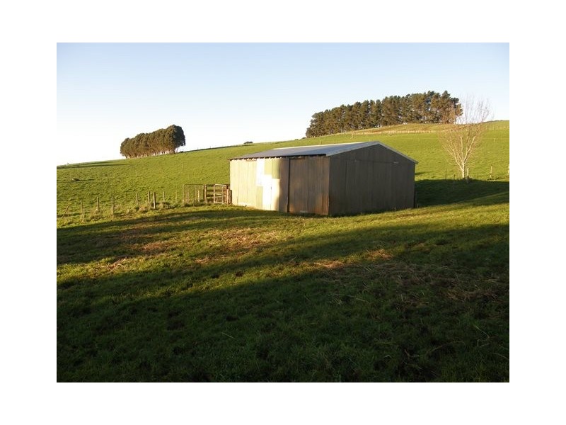 698 Ridgley Highway, Ridgley TAS 7321