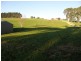 698 Ridgley Highway, Ridgley TAS 7321