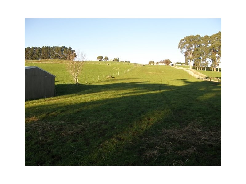 698 Ridgley Highway, Ridgley TAS 7321