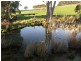698 Ridgley Highway, Ridgley TAS 7321