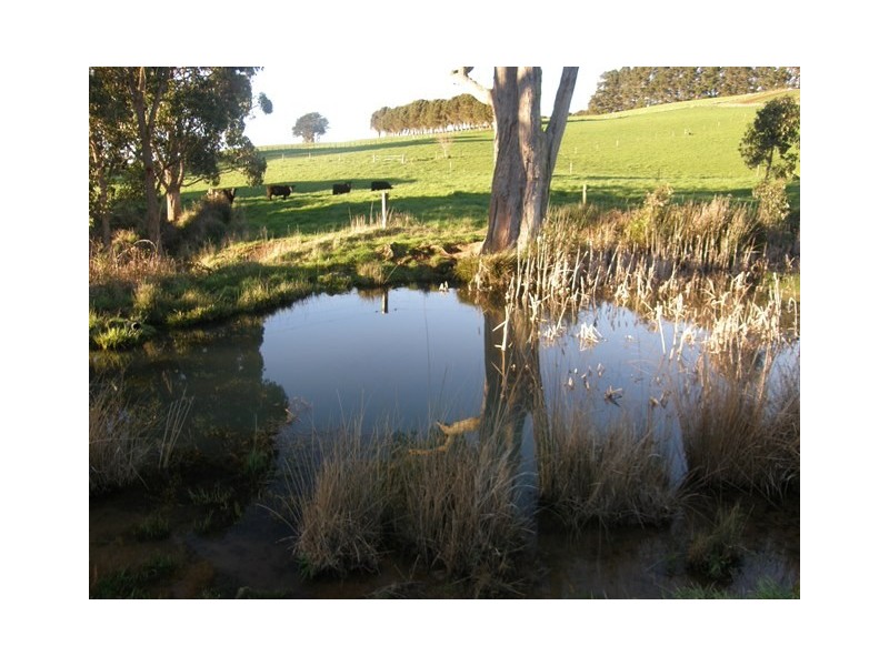 698 Ridgley Highway, Ridgley TAS 7321