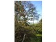 572 Preolenna Road, Moorleah TAS 7325