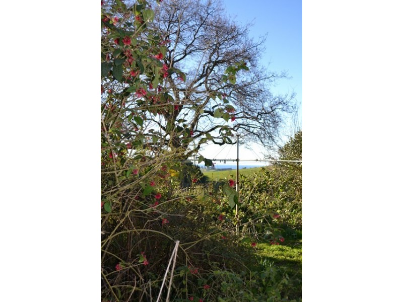 572 Preolenna Road, Moorleah TAS 7325