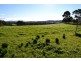 572 Preolenna Road, Moorleah TAS 7325