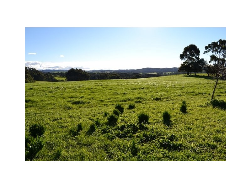 572 Preolenna Road, Moorleah TAS 7325