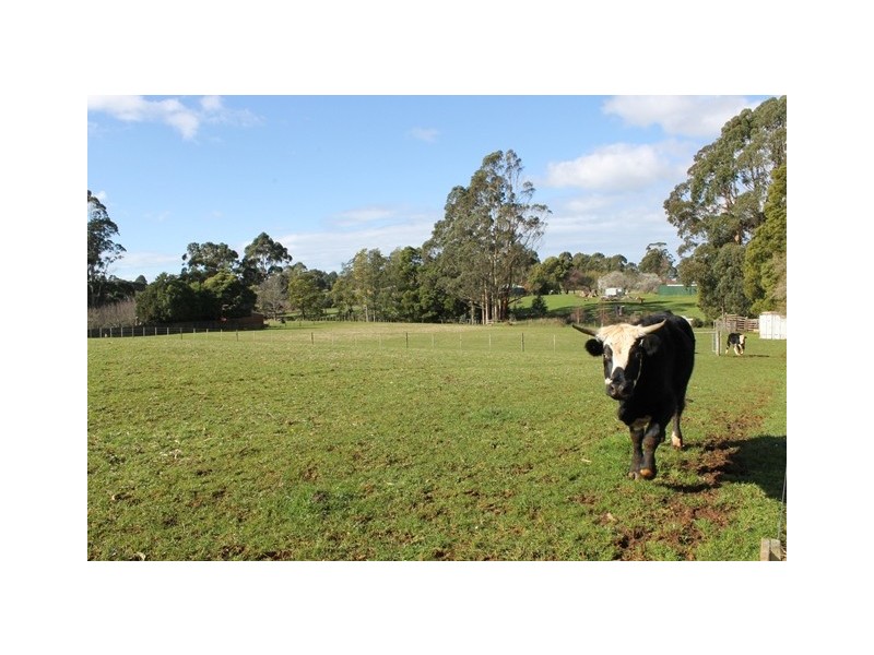 29 Cascade Road, Romaine TAS 7320