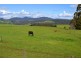 89 Camena Road, Natone TAS 7321